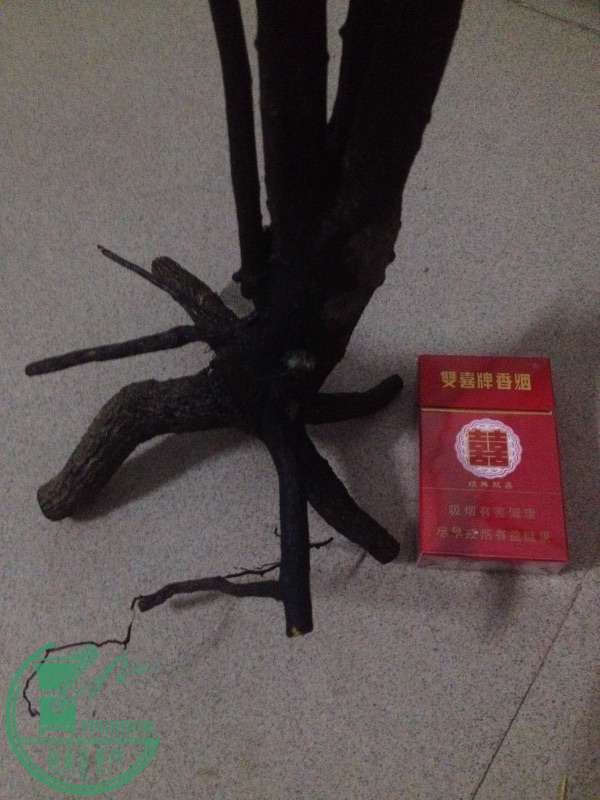image.jpg