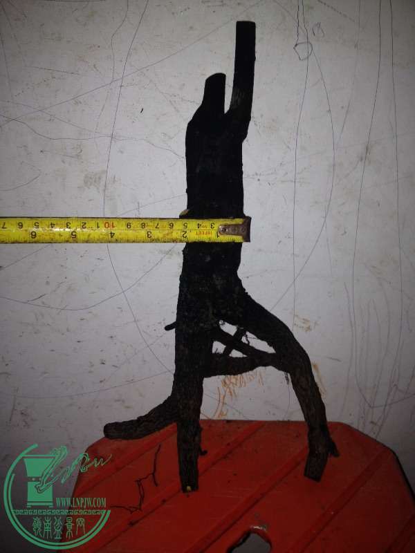image.jpg