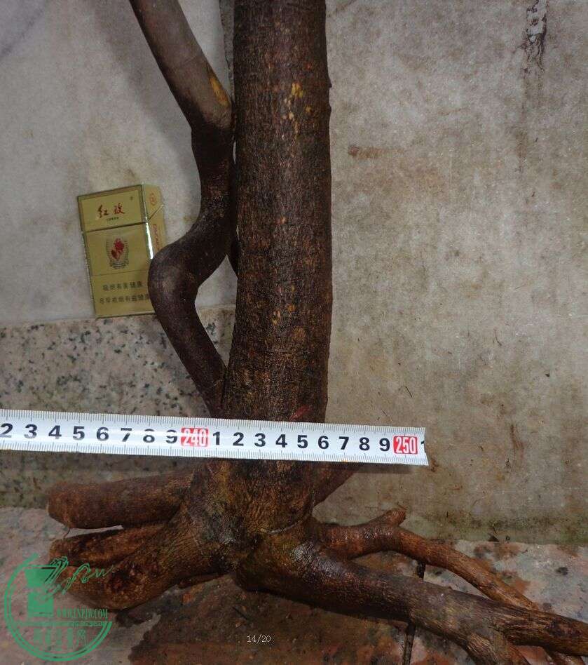 16.jpg