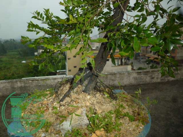 P1150016.JPG
