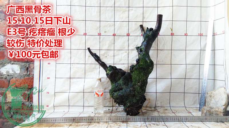 IMG_20151015_175800_.jpg