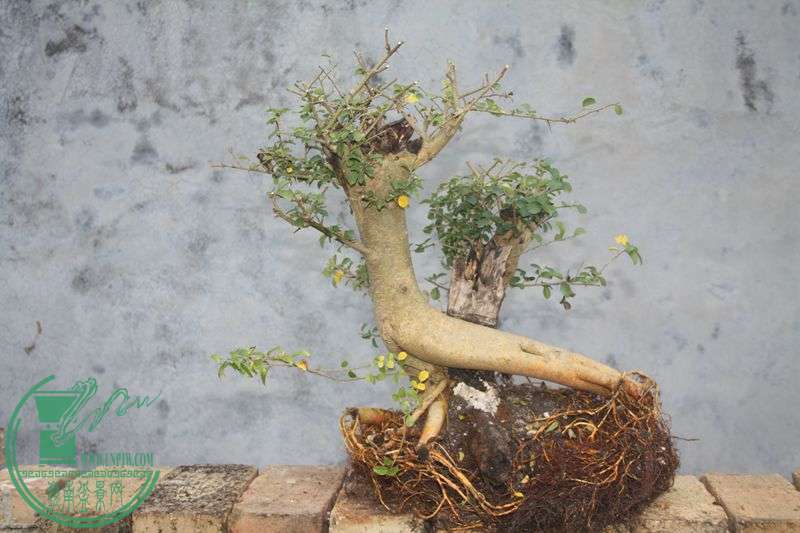 Ƭ20131026ۺ 3869.jpg