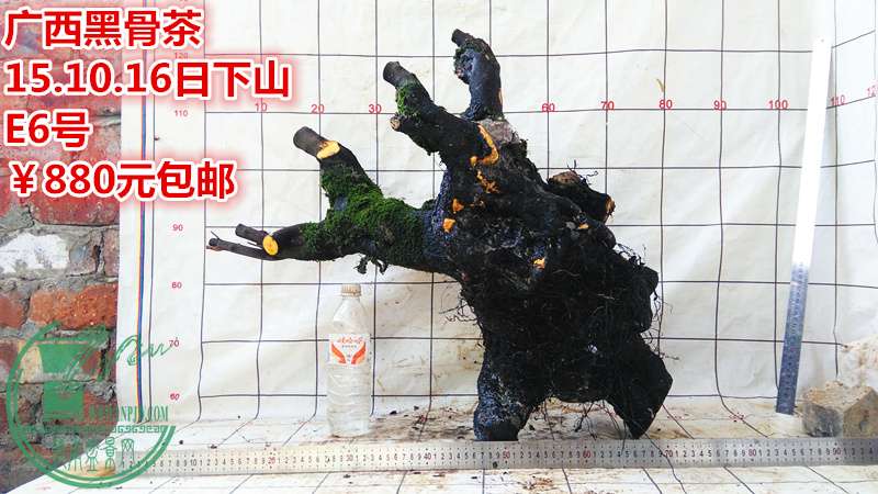 IMG_20151016_151558_.jpg