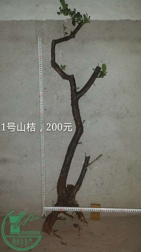 QQͼƬ20151016201227.jpg