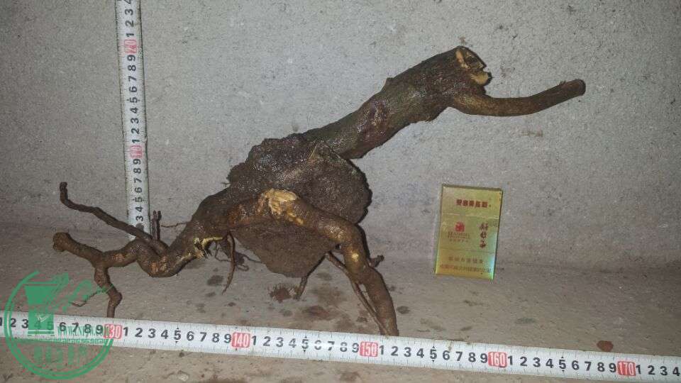 QQͼƬ20151016201331.jpg