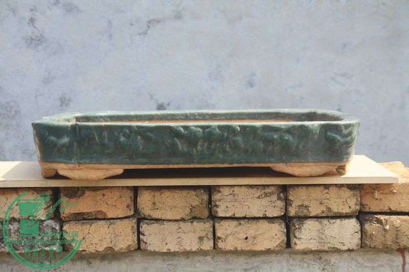 Ƭ20131026ۺ 3886.jpg