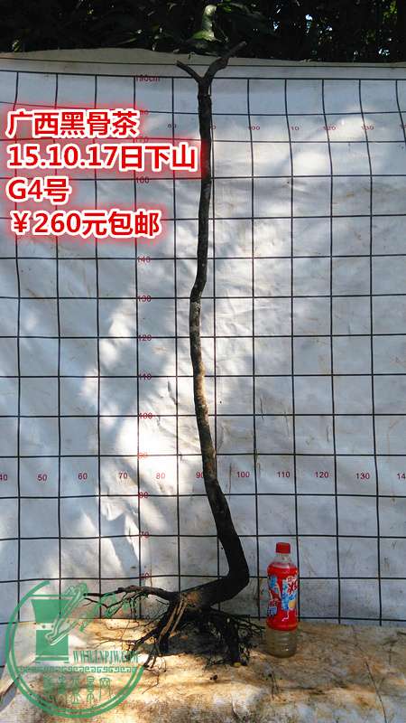 IMG_20151017_125452_.jpg