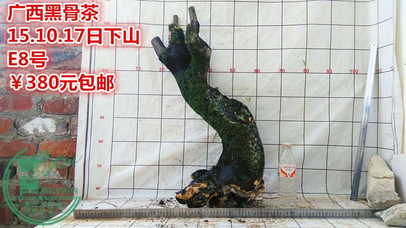 IMG_20151017_143544_.jpg