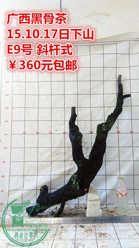 IMG_20151017_143724_.jpg