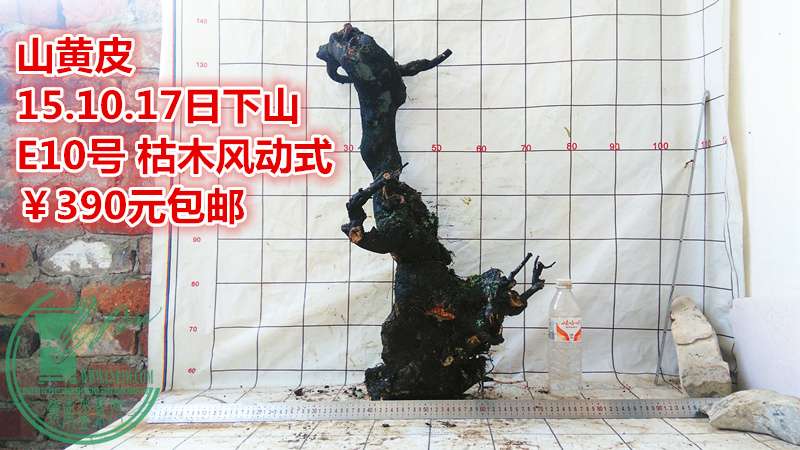 IMG_20151017_144003_.jpg