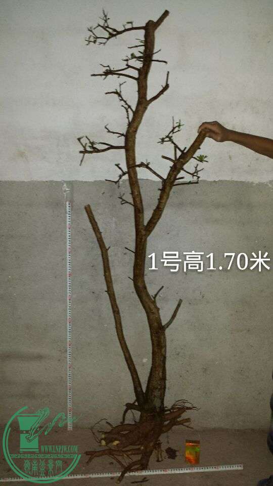 QQͼƬ20151018194309.jpg