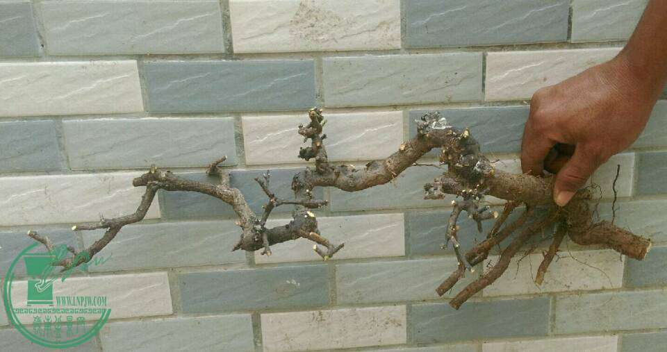 -3429aeae1407914f.jpg