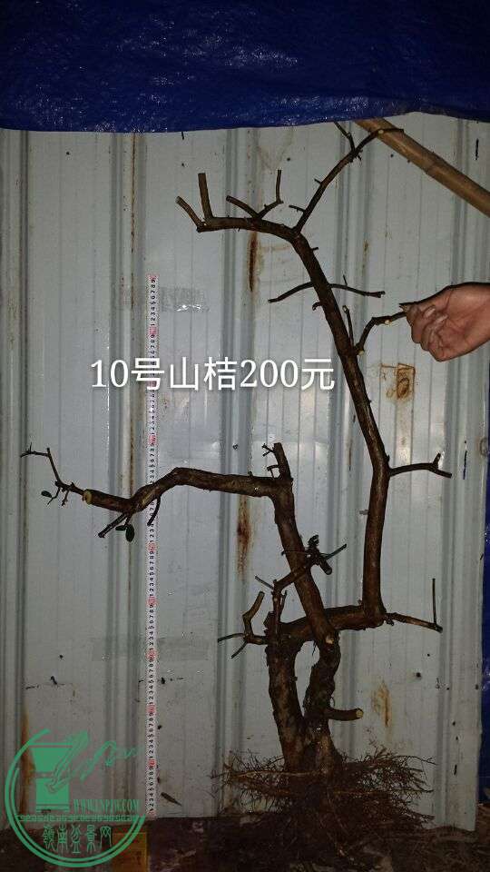 QQͼƬ20151019205036.jpg