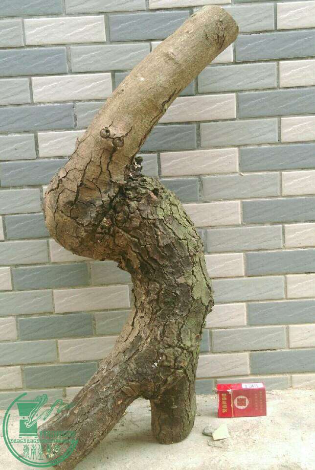 7106526972ee8858.jpg