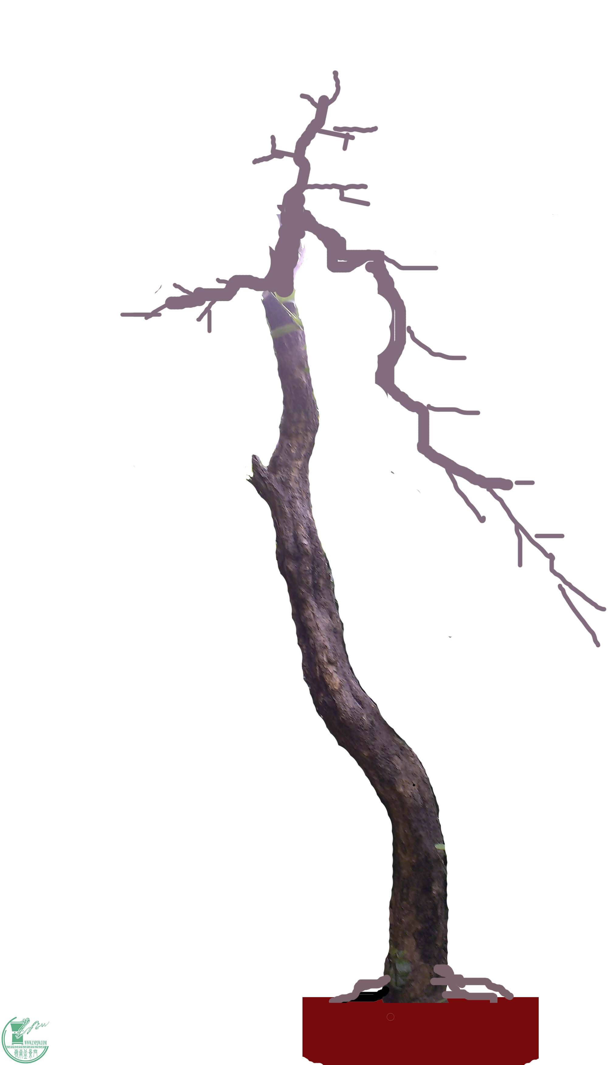 IMAG0345-2ͷ.jpg