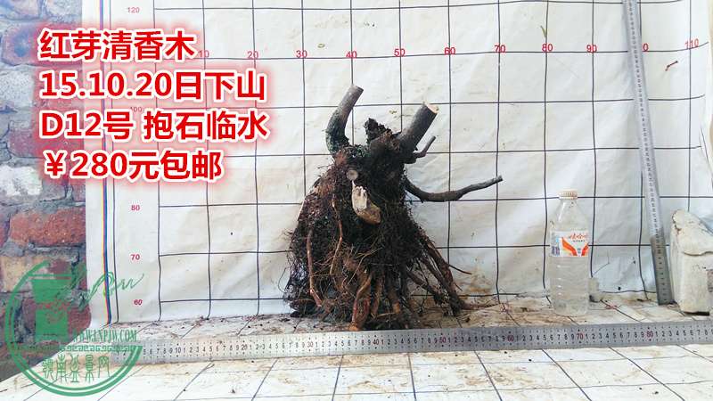 IMG_20151020_150612_.jpg