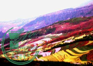 100_3794.jpg