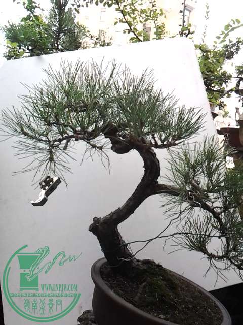 20151019_160331.jpg