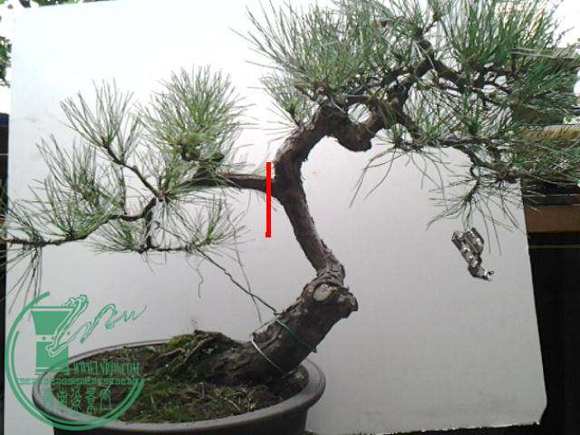 20151019_155950.jpg