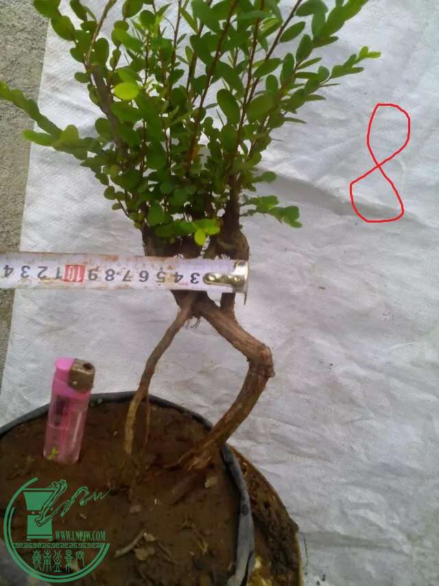 8.2.jpg