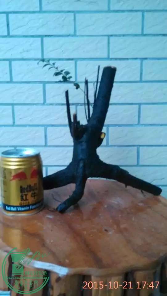 2Ź׮40