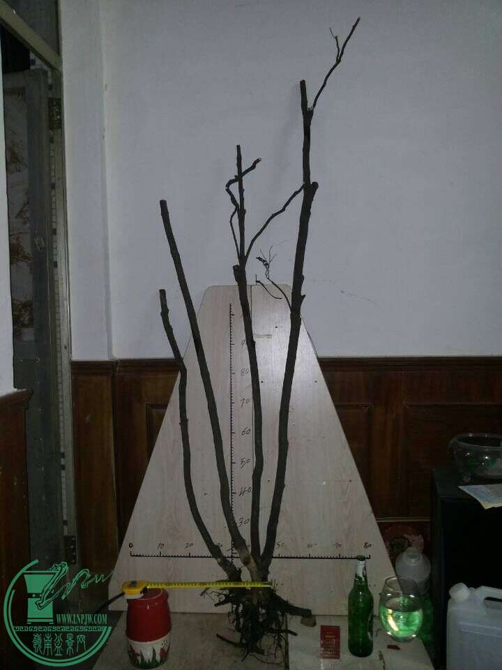 QQͼƬ20151021222445.jpg