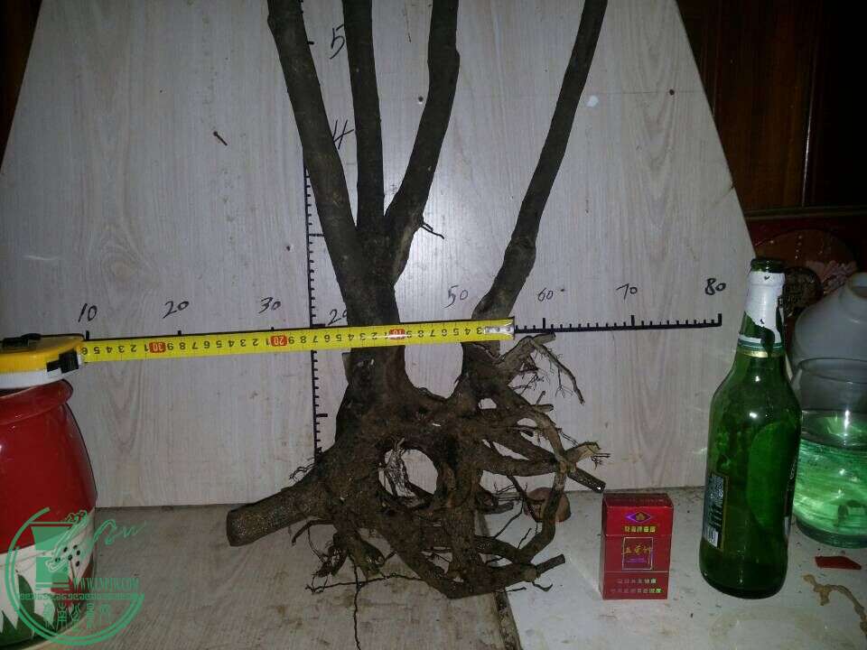 QQͼƬ20151021222452.jpg