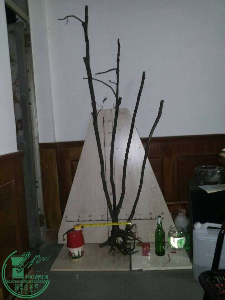QQͼƬ20151021222457.jpg