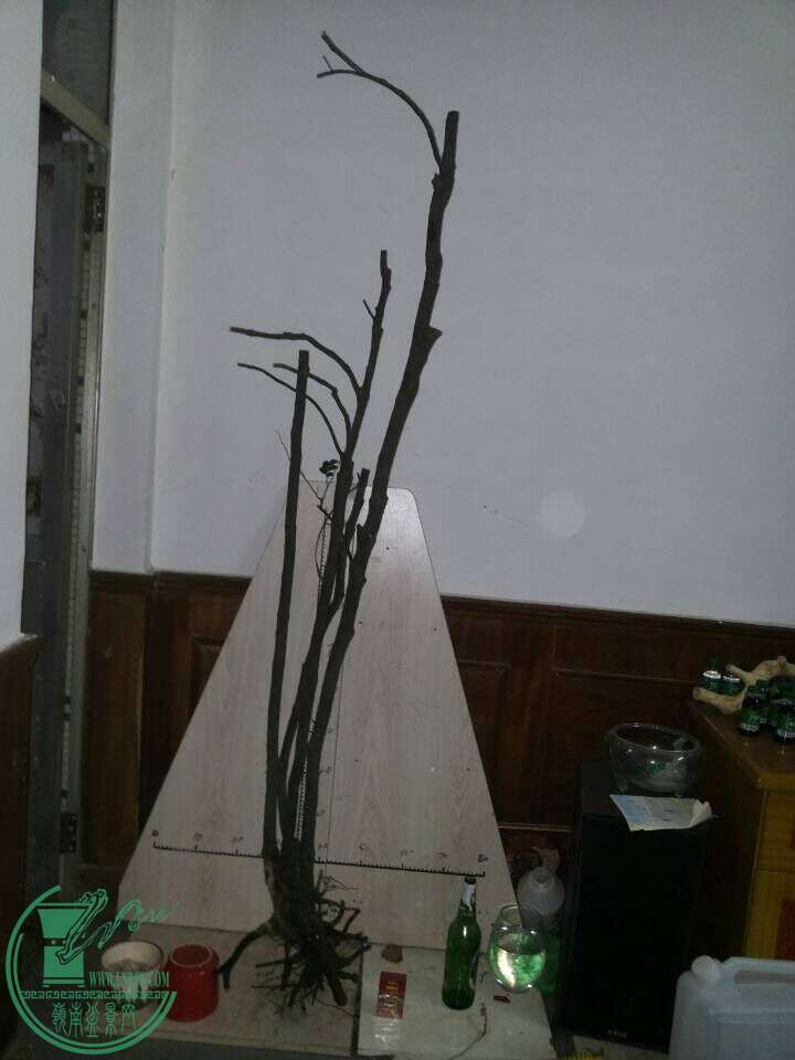 QQͼƬ20151021222504.jpg