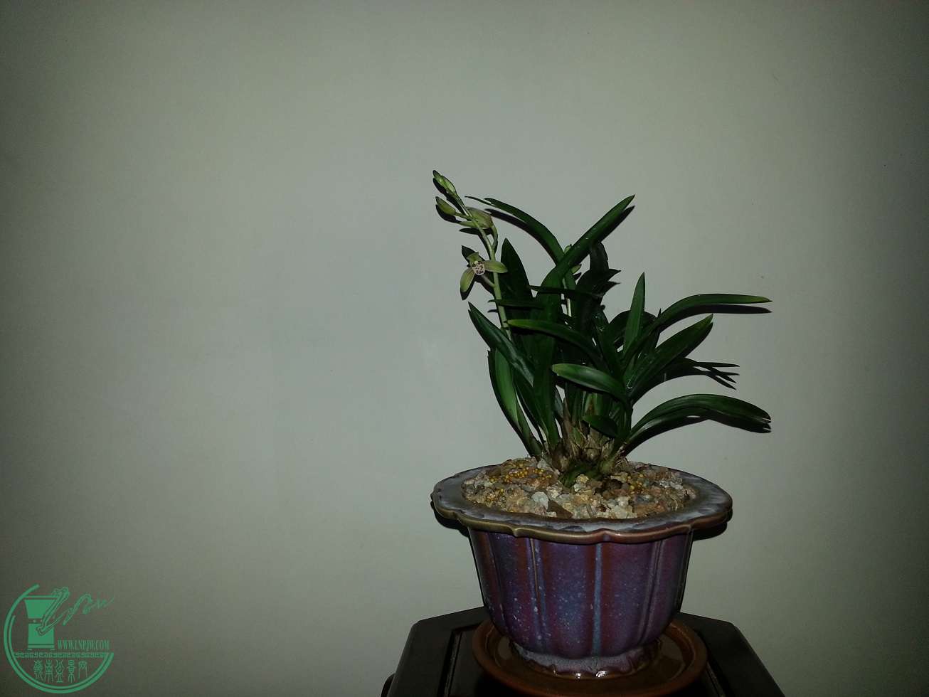 20151022_180557.jpg