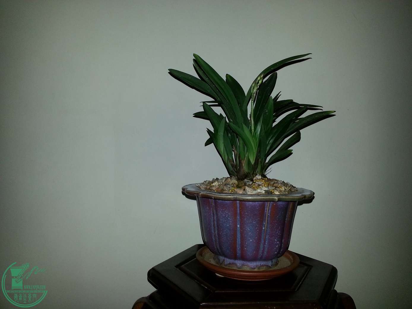 20151018_130316.jpg