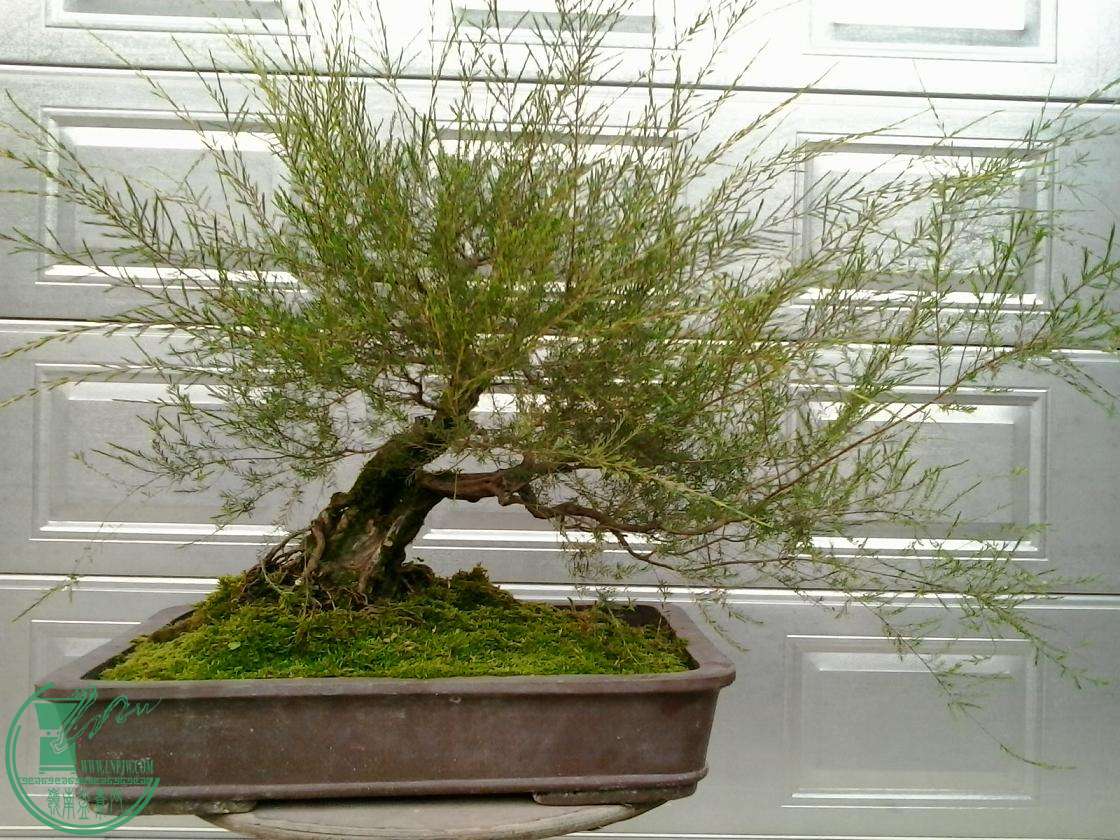 20151024162455.jpg