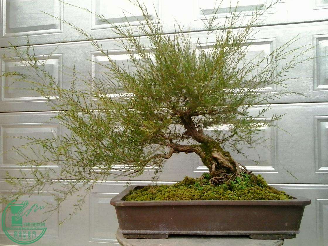 20151024162729.jpg