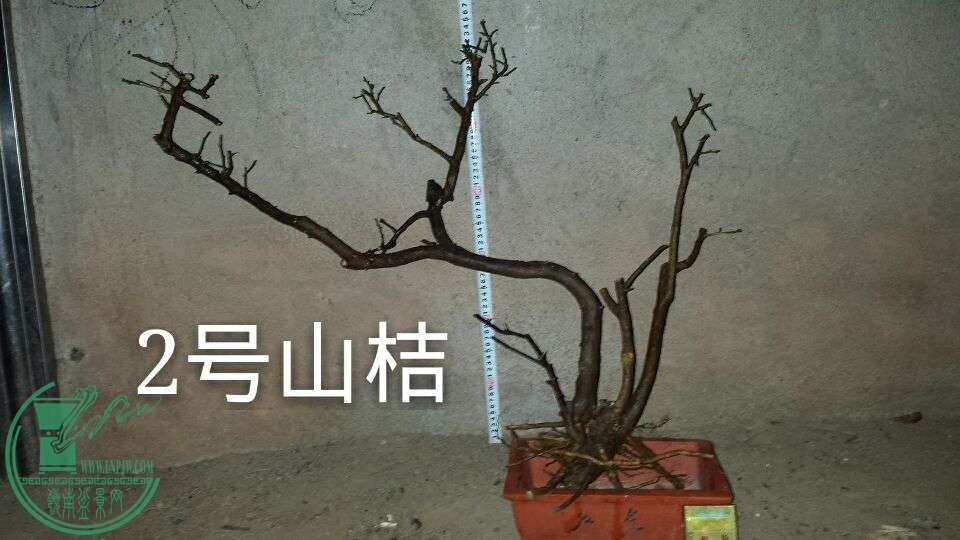 QQͼƬ20151025211935.jpg