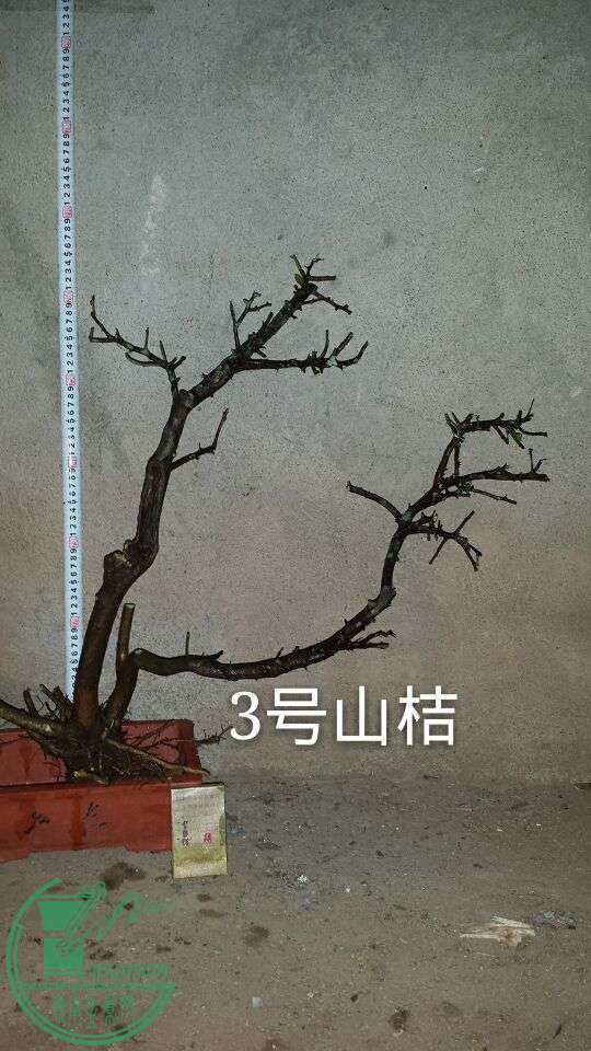 QQͼƬ20151025211943.jpg