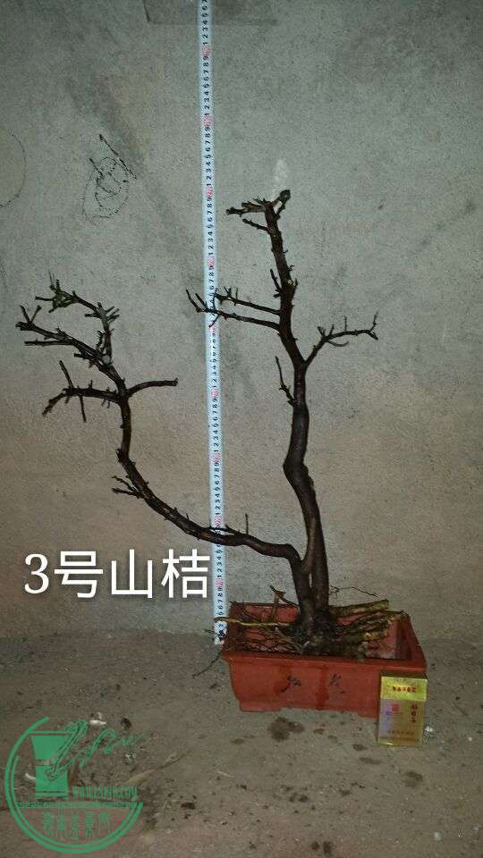 QQͼƬ20151025211947.jpg