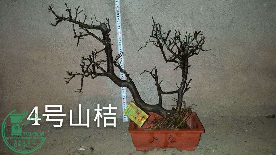 QQͼƬ20151025211951.jpg