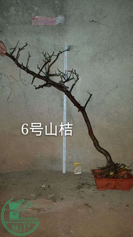 QQͼƬ20151025212009.jpg
