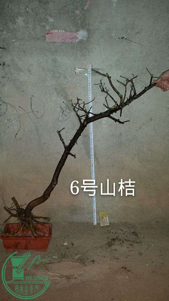 QQͼƬ20151025212014.jpg