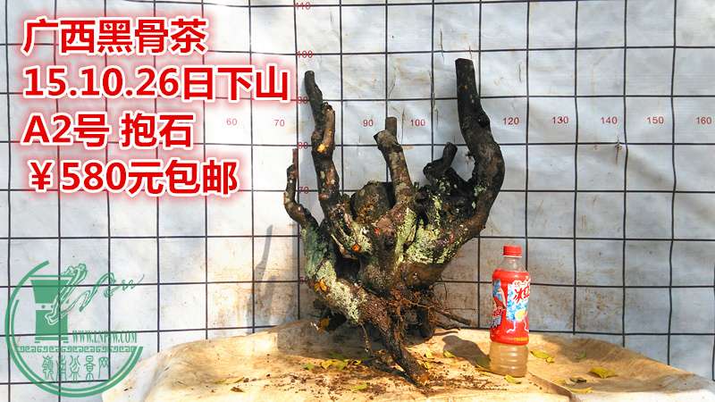 IMG_20151026_141723_.jpg