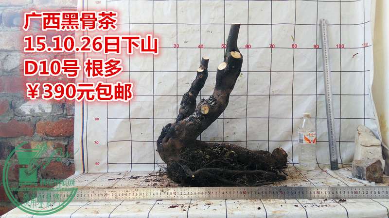 IMG_20151026_163813_.jpg