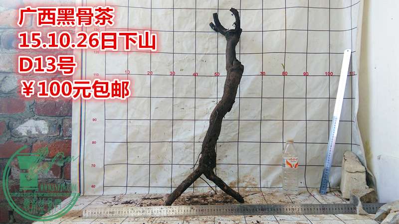 IMG_20151026_164305_.jpg
