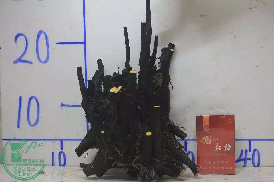 psb.jpg