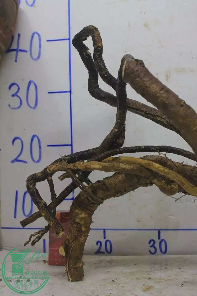 psb (9).jpg