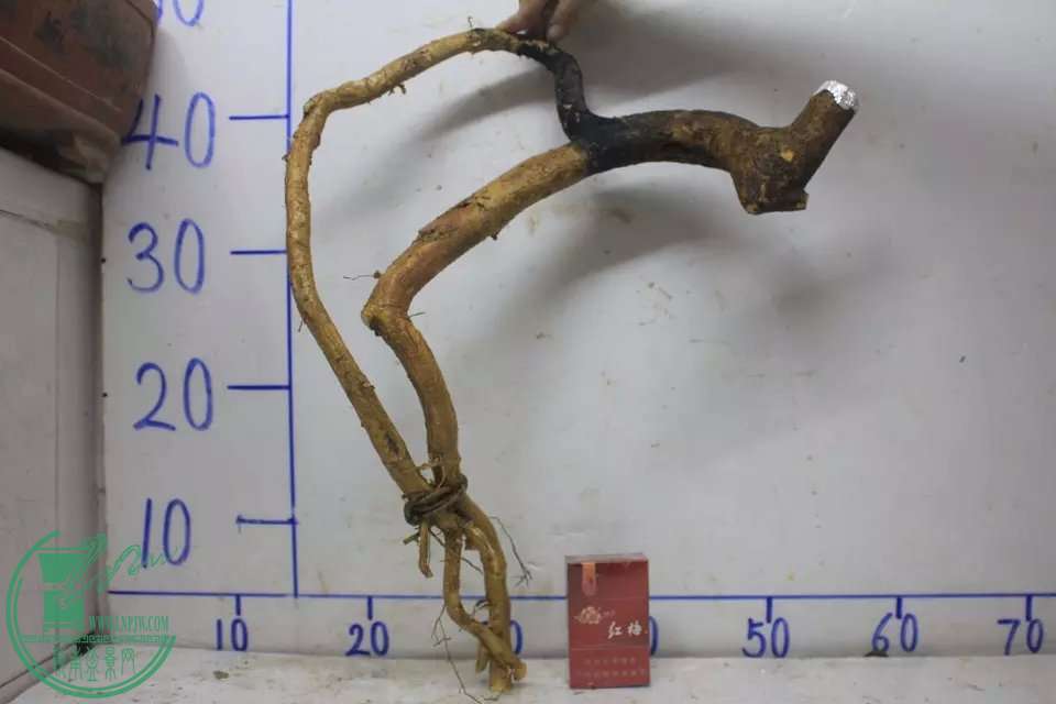 psb (3).jpg
