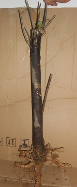 QQͼƬ20151026210747.png