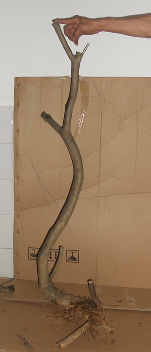 QQͼƬ20151026210809.png