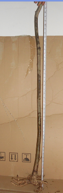 QQͼƬ20151026210831.png