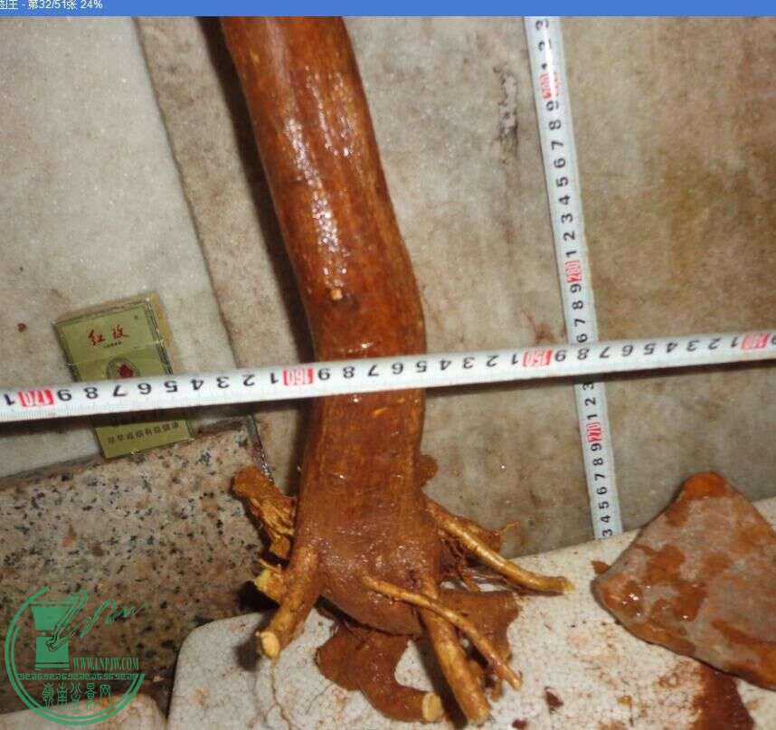 .jpg
