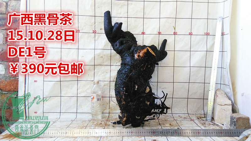 IMG_20151028_170304_.jpg
